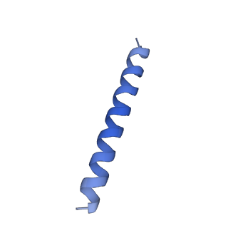 21818_6wl9_nA_v1-2
Cryo-EM of Form 2 like peptide filament, Form2a