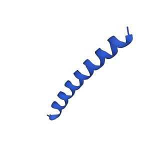 21818_6wl9_o_v1-2
Cryo-EM of Form 2 like peptide filament, Form2a