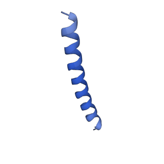 21818_6wl9_p_v1-2
Cryo-EM of Form 2 like peptide filament, Form2a