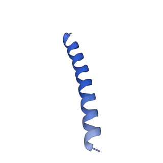 21818_6wl9_q_v1-2
Cryo-EM of Form 2 like peptide filament, Form2a