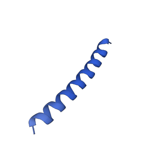 21818_6wl9_r_v1-1
Cryo-EM of Form 2 like peptide filament, Form2a