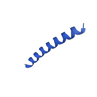 21818_6wl9_u_v1-2
Cryo-EM of Form 2 like peptide filament, Form2a