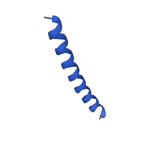 21818_6wl9_v_v1-2
Cryo-EM of Form 2 like peptide filament, Form2a