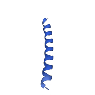 21818_6wl9_w_v1-2
Cryo-EM of Form 2 like peptide filament, Form2a