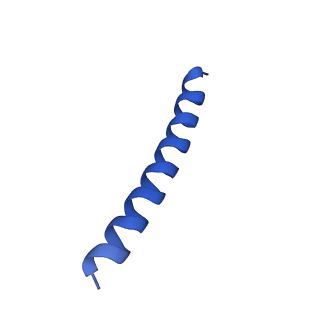 21818_6wl9_x_v1-1
Cryo-EM of Form 2 like peptide filament, Form2a