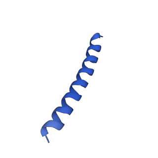 21818_6wl9_x_v1-2
Cryo-EM of Form 2 like peptide filament, Form2a