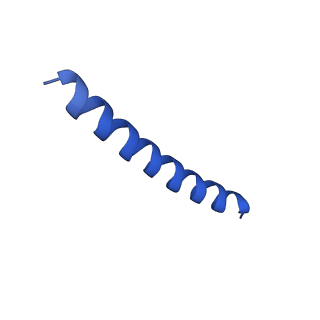 21818_6wl9_y_v1-1
Cryo-EM of Form 2 like peptide filament, Form2a