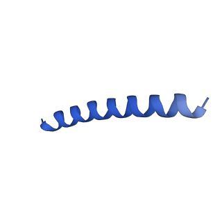 21818_6wl9_z_v1-2
Cryo-EM of Form 2 like peptide filament, Form2a