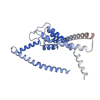 21843_6wlv_A_v1-2
TASK2 in MSP1D1 lipid nanodisc at pH 6.5