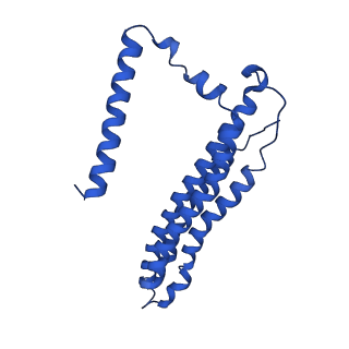 21844_6wlw_0_v1-2
The Vo region of human V-ATPase in state 1 (focused refinement)