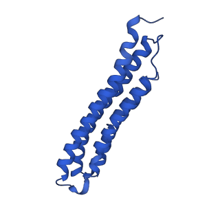 21844_6wlw_1_v1-2
The Vo region of human V-ATPase in state 1 (focused refinement)