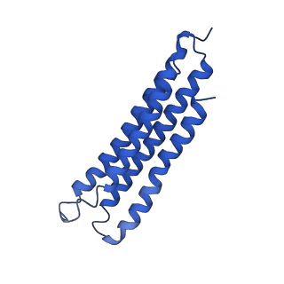 21844_6wlw_3_v1-2
The Vo region of human V-ATPase in state 1 (focused refinement)