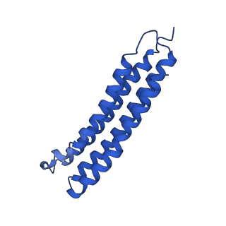 21844_6wlw_4_v1-2
The Vo region of human V-ATPase in state 1 (focused refinement)
