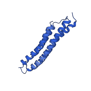 21844_6wlw_6_v1-2
The Vo region of human V-ATPase in state 1 (focused refinement)