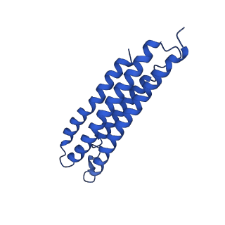 21844_6wlw_8_v1-2
The Vo region of human V-ATPase in state 1 (focused refinement)