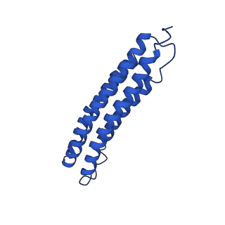 21844_6wlw_9_v1-2
The Vo region of human V-ATPase in state 1 (focused refinement)