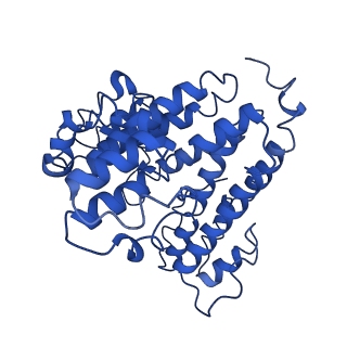 21844_6wlw_Q_v1-2
The Vo region of human V-ATPase in state 1 (focused refinement)