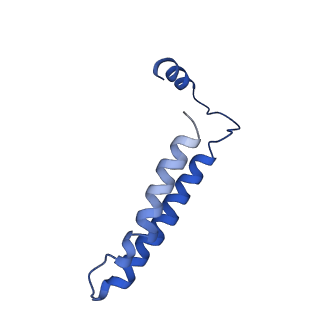 21844_6wlw_S_v1-2
The Vo region of human V-ATPase in state 1 (focused refinement)