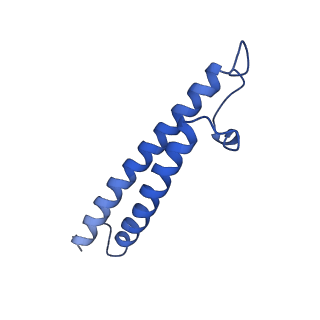 21844_6wlw_T_v1-2
The Vo region of human V-ATPase in state 1 (focused refinement)