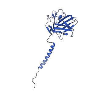 21844_6wlw_U_v1-2
The Vo region of human V-ATPase in state 1 (focused refinement)