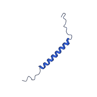 21844_6wlw_V_v1-2
The Vo region of human V-ATPase in state 1 (focused refinement)