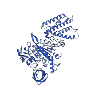 21845_6wlz_A_v1-2
The V1 region of human V-ATPase in state 1 (focused refinement)