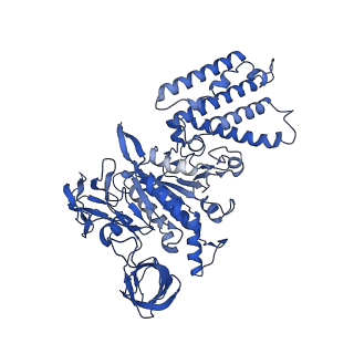 21845_6wlz_A_v1-3
The V1 region of human V-ATPase in state 1 (focused refinement)