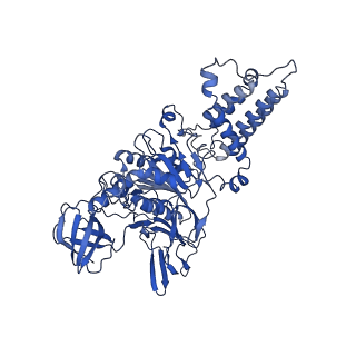 21845_6wlz_B_v1-2
The V1 region of human V-ATPase in state 1 (focused refinement)