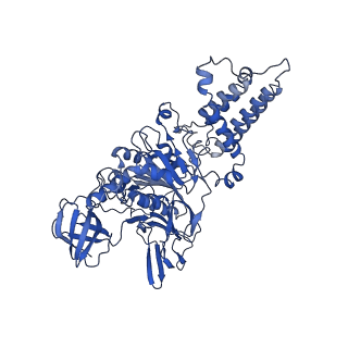 21845_6wlz_B_v1-3
The V1 region of human V-ATPase in state 1 (focused refinement)