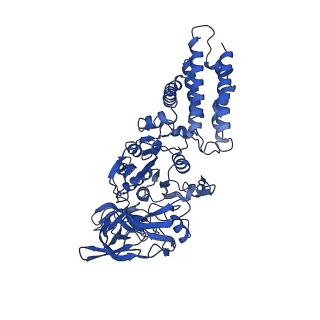 21845_6wlz_C_v1-2
The V1 region of human V-ATPase in state 1 (focused refinement)