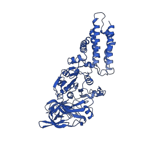 21845_6wlz_C_v1-3
The V1 region of human V-ATPase in state 1 (focused refinement)