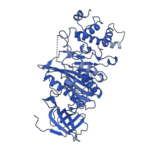 21845_6wlz_D_v1-2
The V1 region of human V-ATPase in state 1 (focused refinement)