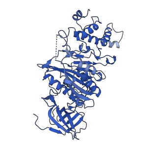 21845_6wlz_D_v1-3
The V1 region of human V-ATPase in state 1 (focused refinement)