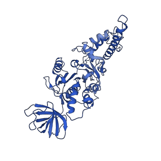 21845_6wlz_E_v1-2
The V1 region of human V-ATPase in state 1 (focused refinement)