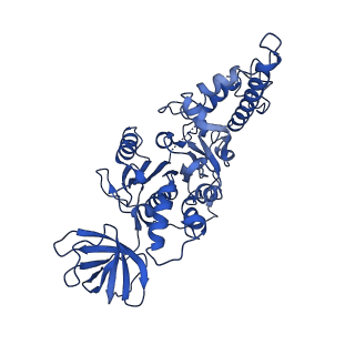 21845_6wlz_E_v1-3
The V1 region of human V-ATPase in state 1 (focused refinement)