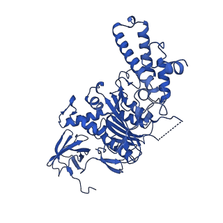 21845_6wlz_F_v1-2
The V1 region of human V-ATPase in state 1 (focused refinement)