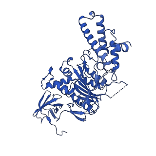 21845_6wlz_F_v1-3
The V1 region of human V-ATPase in state 1 (focused refinement)