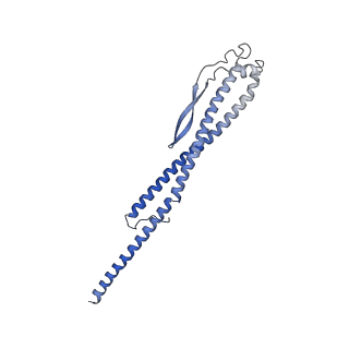 21845_6wlz_G_v1-2
The V1 region of human V-ATPase in state 1 (focused refinement)