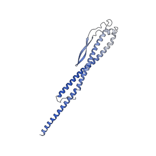 21845_6wlz_G_v1-3
The V1 region of human V-ATPase in state 1 (focused refinement)