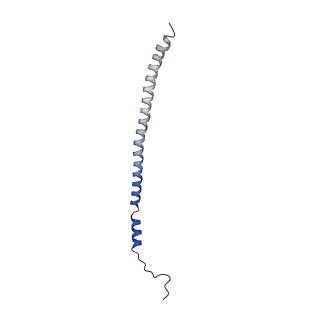 21845_6wlz_L_v1-3
The V1 region of human V-ATPase in state 1 (focused refinement)