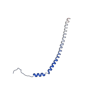 21845_6wlz_M_v1-3
The V1 region of human V-ATPase in state 1 (focused refinement)