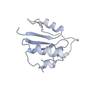21845_6wlz_N_v1-2
The V1 region of human V-ATPase in state 1 (focused refinement)