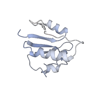 21845_6wlz_N_v1-3
The V1 region of human V-ATPase in state 1 (focused refinement)