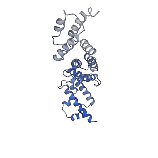 21845_6wlz_X_v1-2
The V1 region of human V-ATPase in state 1 (focused refinement)