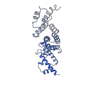 21845_6wlz_X_v1-3
The V1 region of human V-ATPase in state 1 (focused refinement)