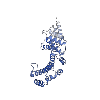21845_6wlz_Y_v1-2
The V1 region of human V-ATPase in state 1 (focused refinement)