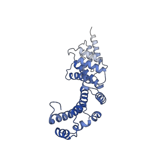 21845_6wlz_Y_v1-3
The V1 region of human V-ATPase in state 1 (focused refinement)