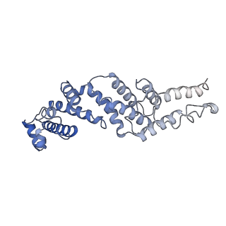 21845_6wlz_Z_v1-2
The V1 region of human V-ATPase in state 1 (focused refinement)