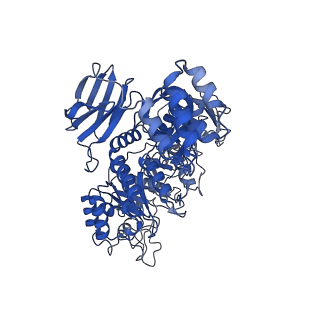 32571_7wlg_A_v1-1
Cryo-EM structure of GH31 alpha-1,3-glucosidase from Lactococcus lactis subsp. cremoris
