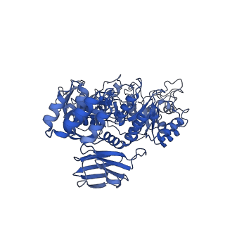 32571_7wlg_B_v1-1
Cryo-EM structure of GH31 alpha-1,3-glucosidase from Lactococcus lactis subsp. cremoris